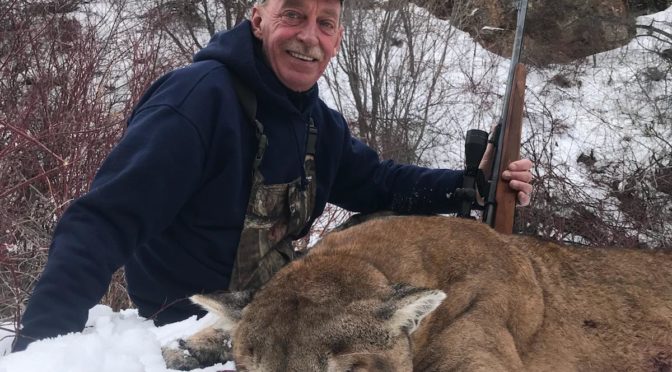 Trophy Mountain Lion Kill in Wyoming