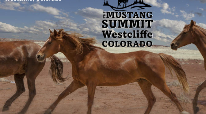 The Mustangs Are Coming to Westcliffe!